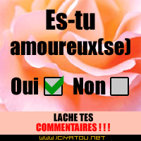 Amoureuse?? (Pr&eacute;sentation)